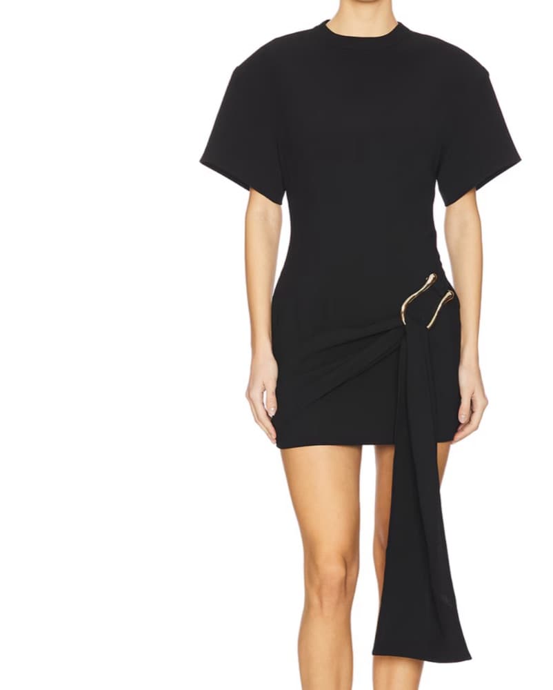 Martini Mini Black Lioness Dress - Image 1