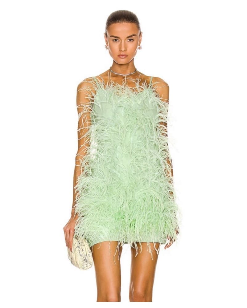 Cult Gaia Feather Mini Dress - Image 1