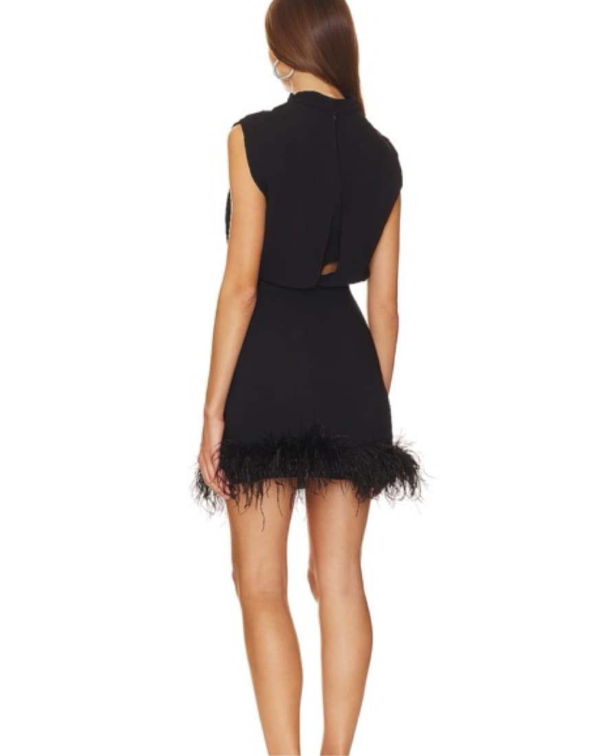 Sullivan Mini Dress - Image 2