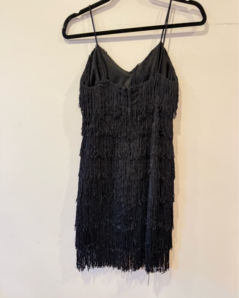Vintage Fringe Flapper/gatsby/1920 Dress - Image 6