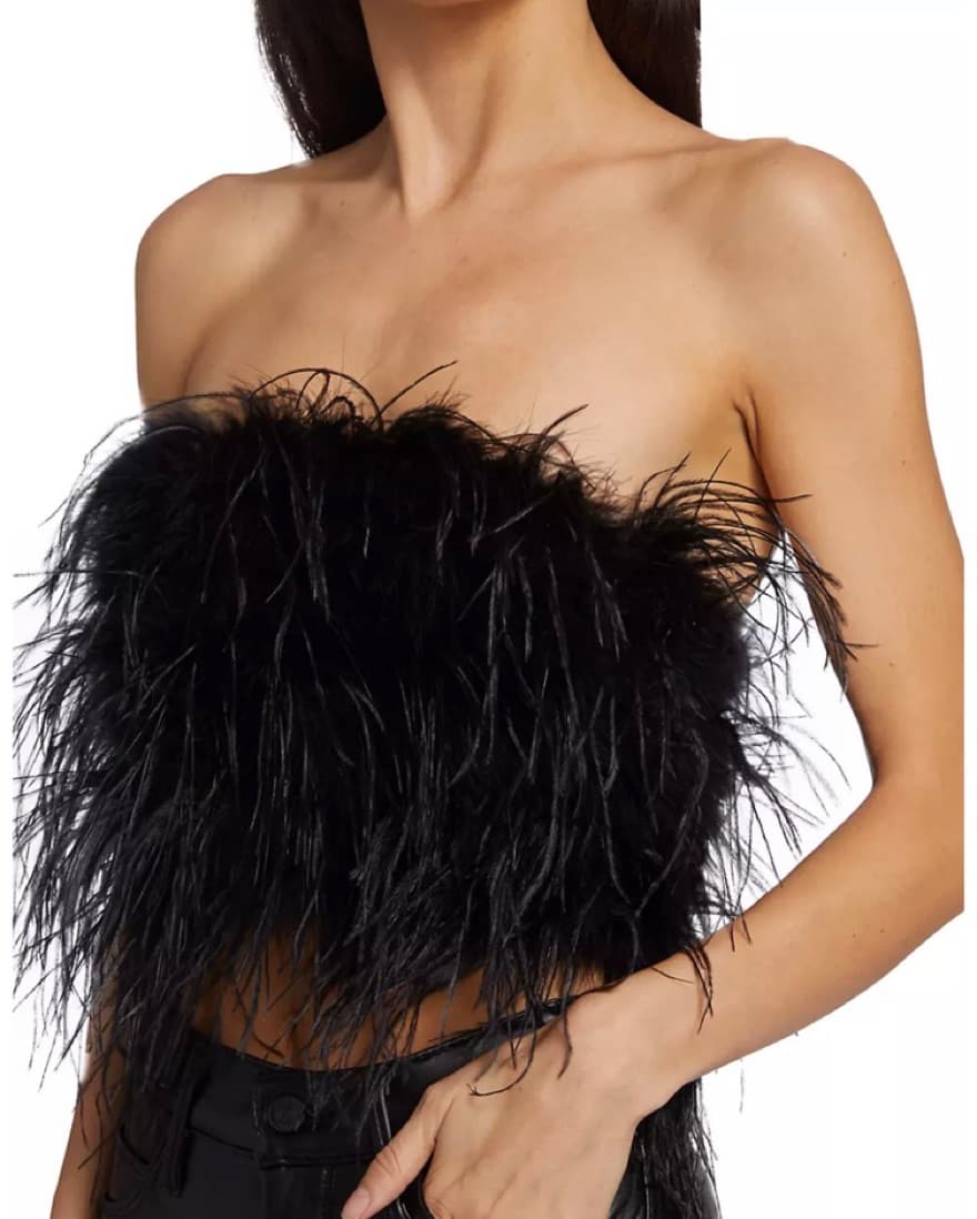 Zaina Feather Bustier Top - Image 2