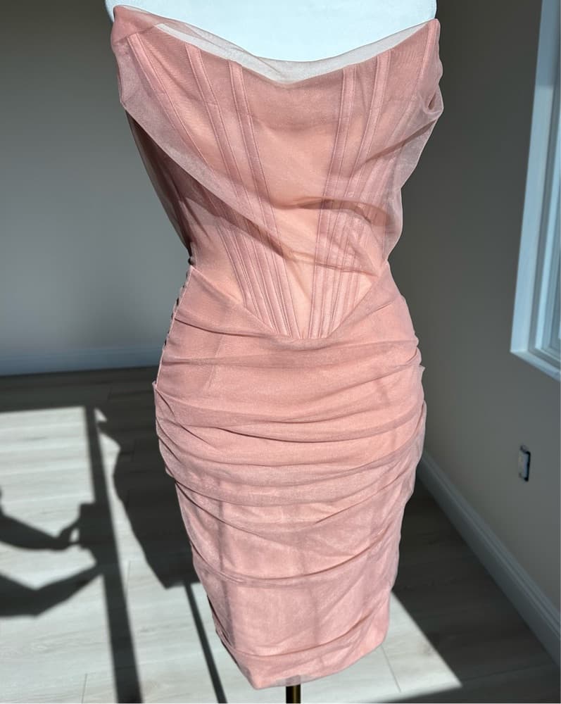 LEILA Blush Mesh Strapless Corset Dress - Image 5