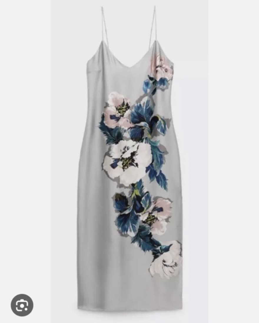 Zara Silk Dress - Image 1