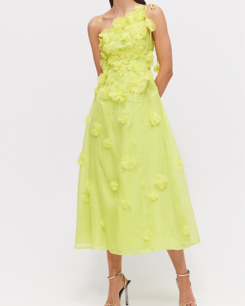 Rachel Gilbert Silk Dress With Apliques  - Image 4