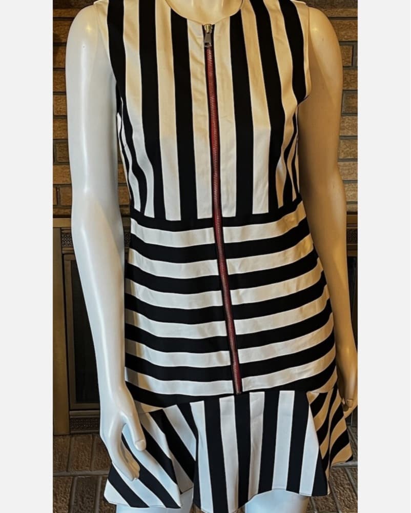 Pinko Striped Mini Red Zipper - Image 4