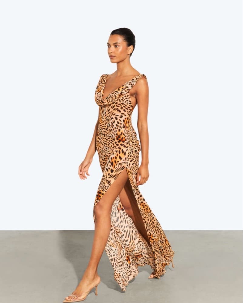 Leopard Print Rat & Boa Maxi Dress - Image 3