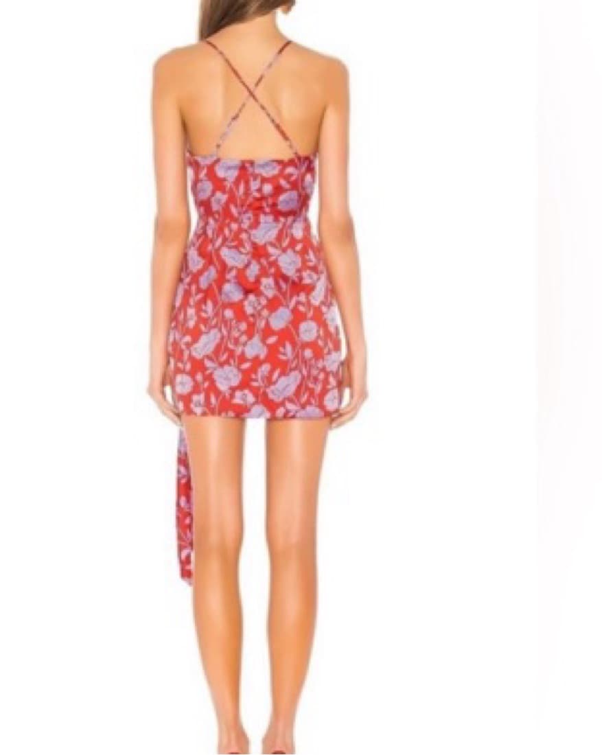 Lovers And Friends Mini Dress   - Image 3