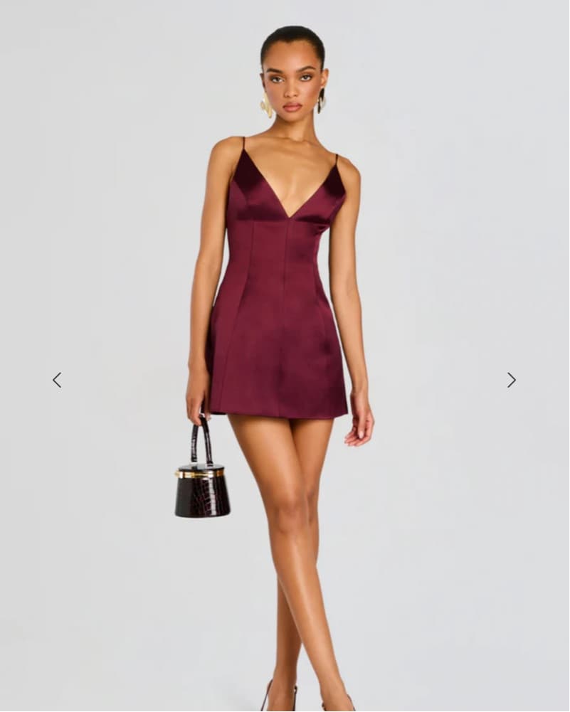 Retrofete Giavanna Dress - Image 4