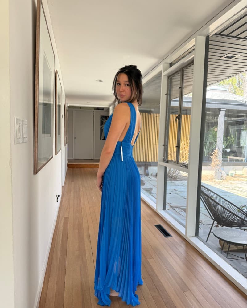 Alice + Olivia Blue Pleated Maxi Dress - Image 4