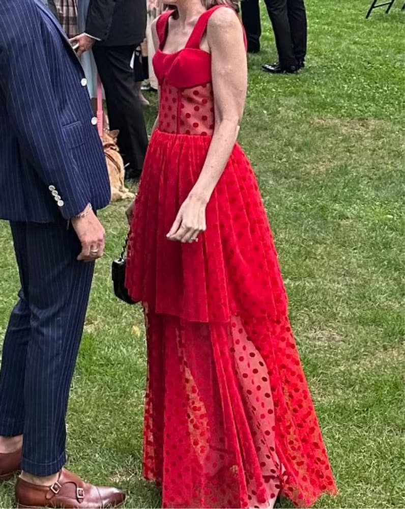 Rasario Red Tulle Polka Dot Gown - Image 2