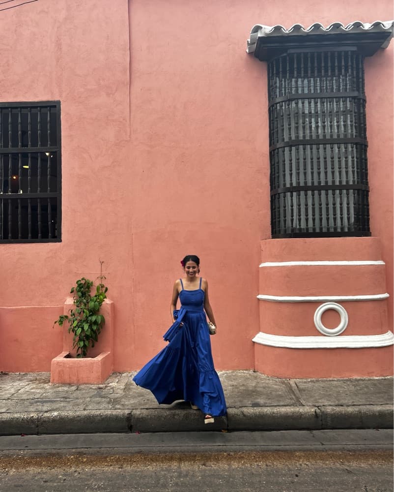 Blue Alexis Gown - Image 1