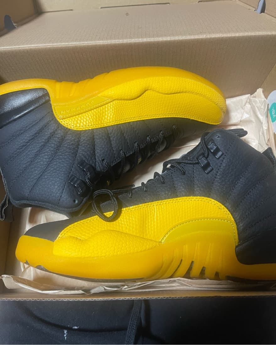 AirJordan retro 12  - Image 1