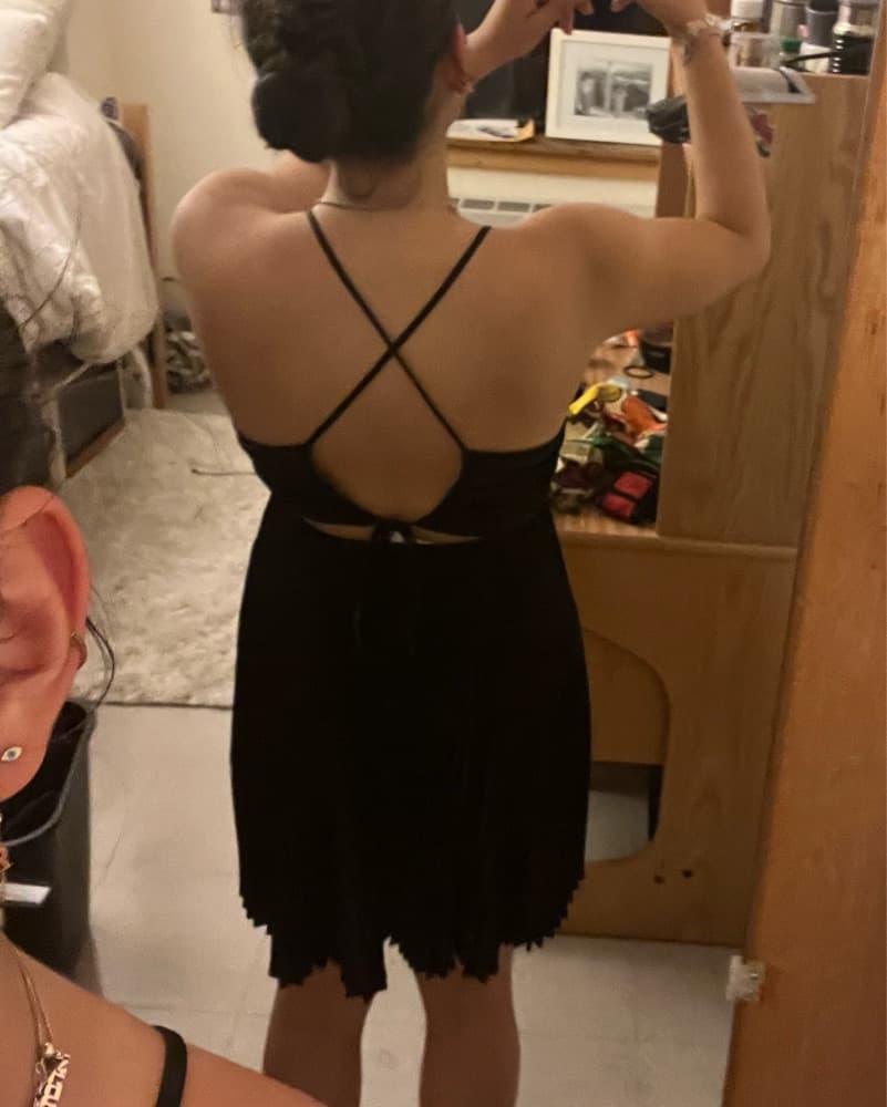 ALC Black Pleated Dress  - Image 3