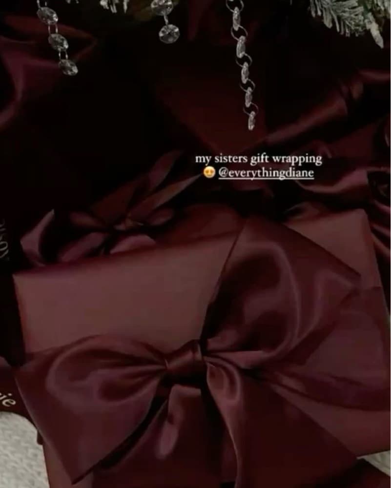 Luxurious Velvet Trimmed Christmas Tree - Image 4