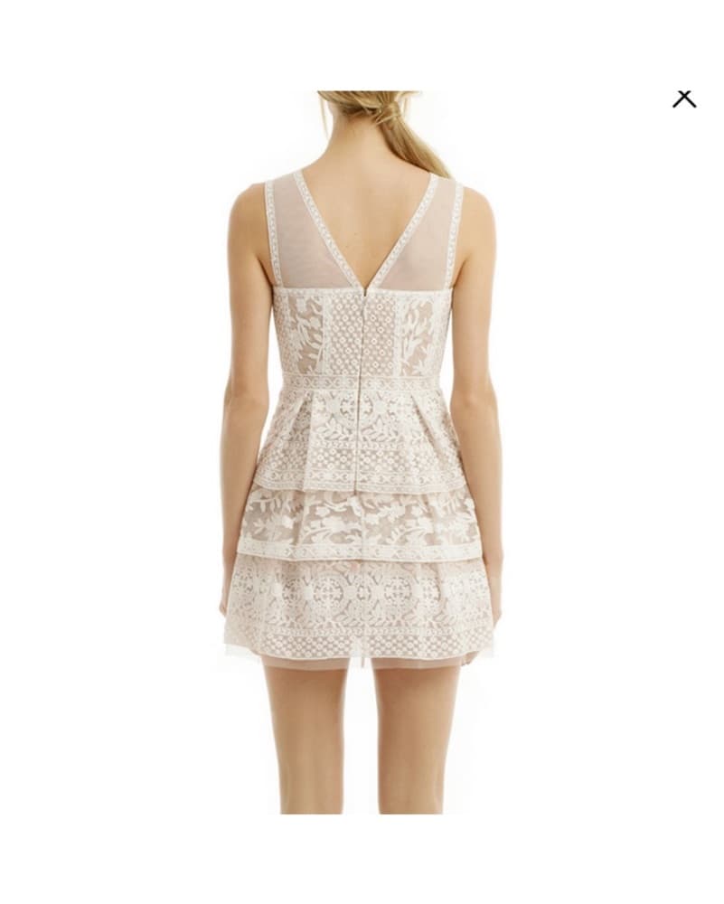 Pink Lace BCBGMaxAzria Dress - Image 3