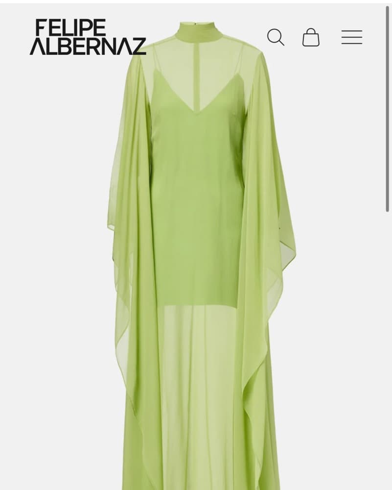 Felipe Albernaz Green Dress - Image 2