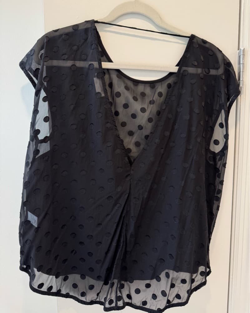 Lovers + Friends Black Semi Sheer Blouse - Image 5