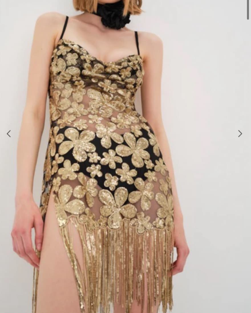 For love and lemons Colette Mini Dress - Image 1