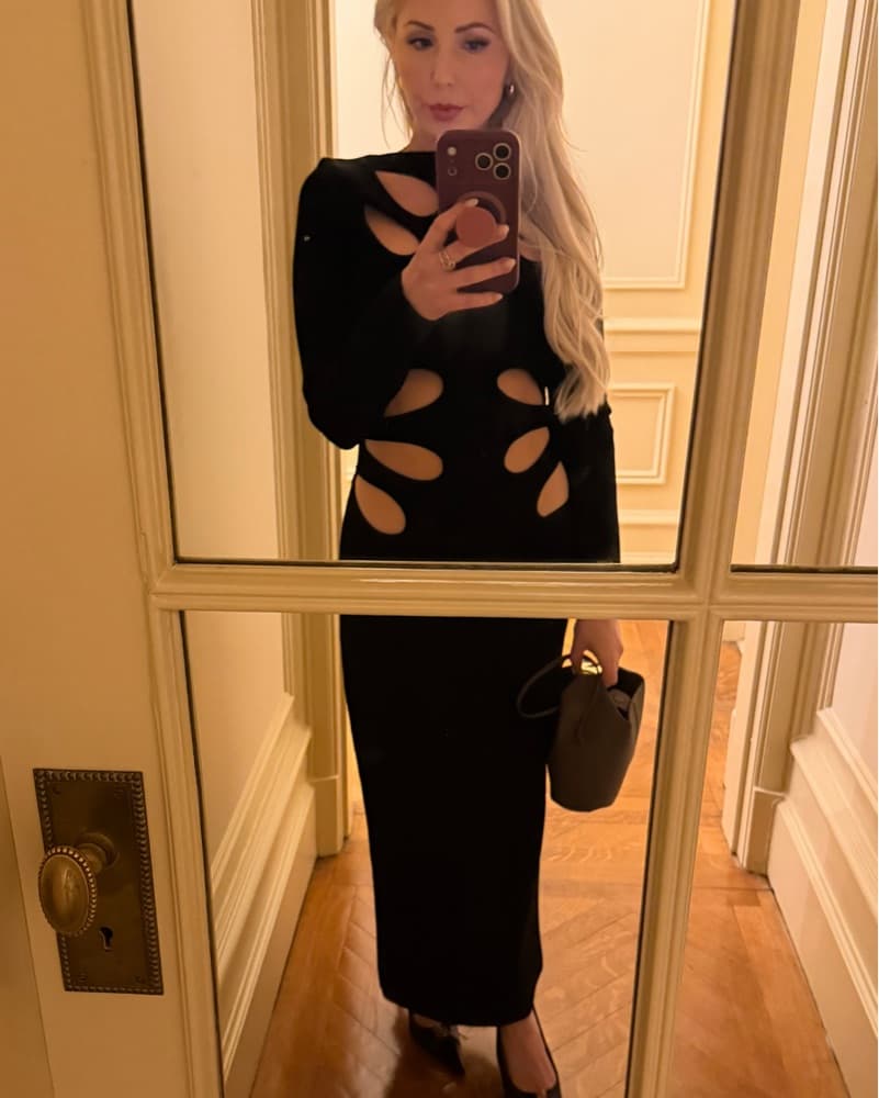 Cult Gaia Anaria dress  - Image 4