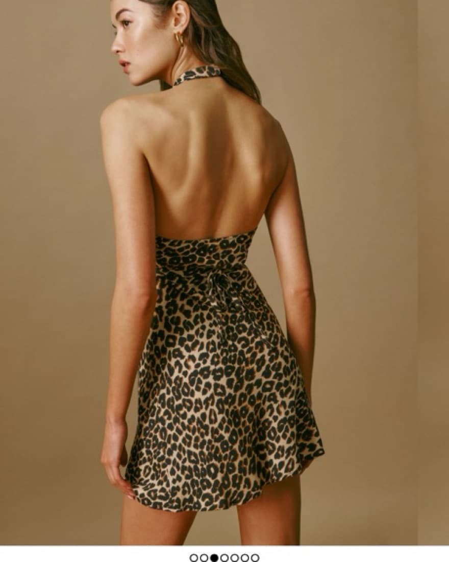 Leopard Mini  - Image 3