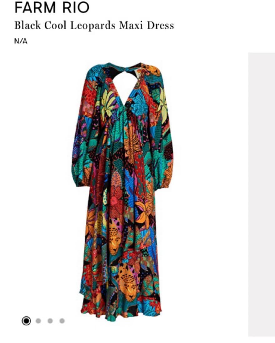 Farm Rio Leopard Dress - Image 2