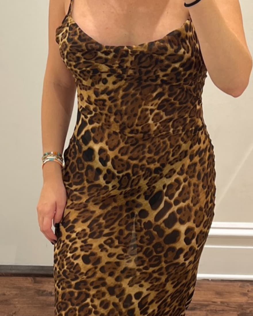 Sheer Leopard Print Maxi Dress - Image 2
