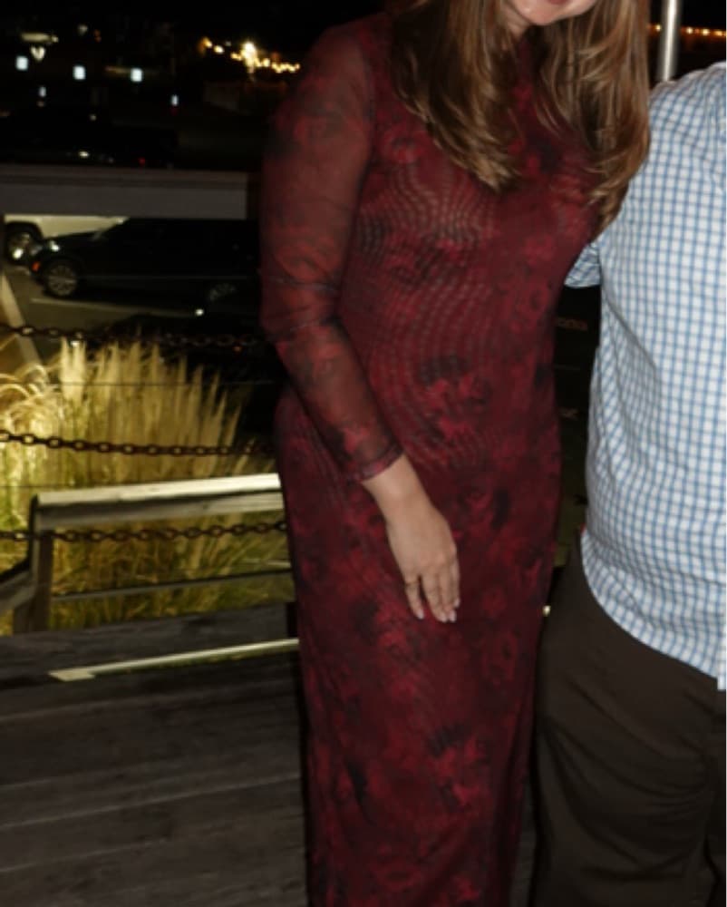 Enchanting Burgundy Dress - Image 1