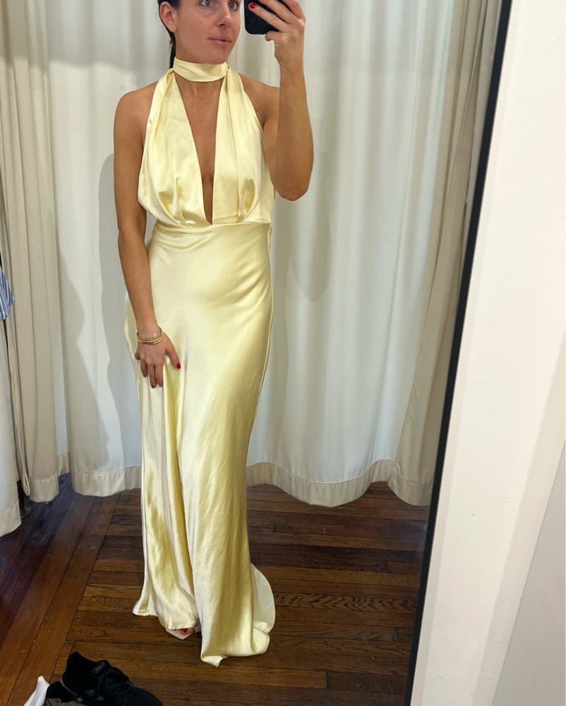 How To Lose A Guy In Ten Days Gown - Image 3