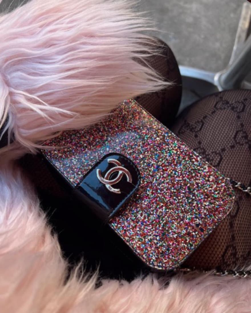 Chanel Sparkley Bag - Image 1