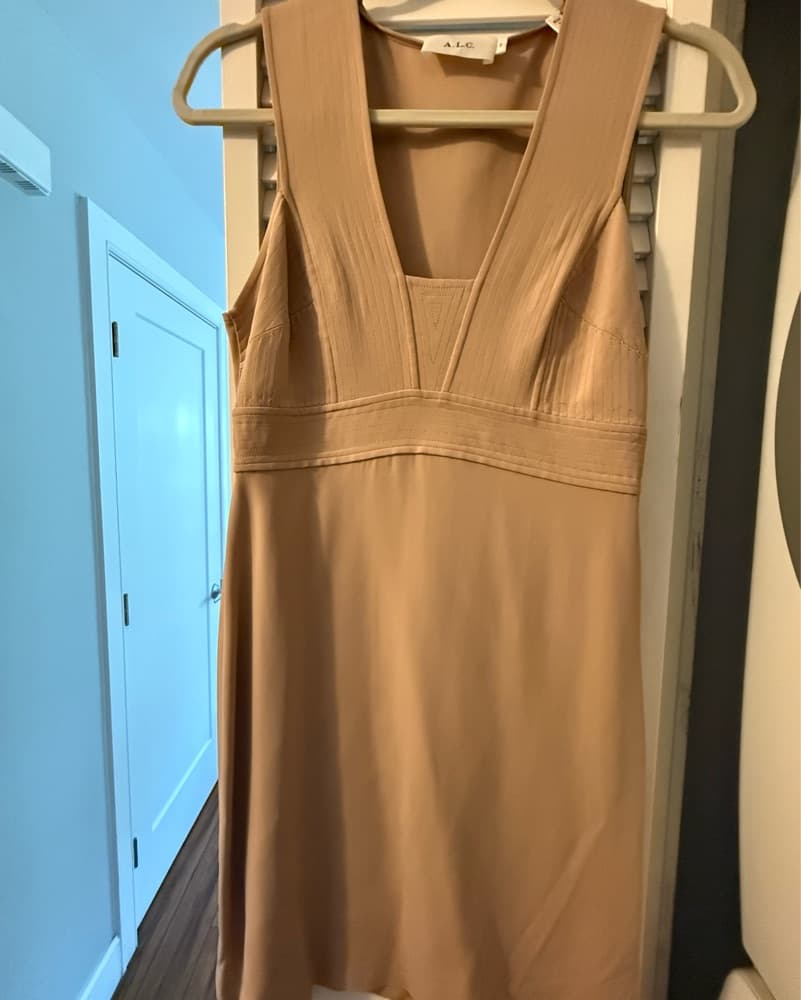 ALC Carmella Dress in Whisper Nude  - Image 4