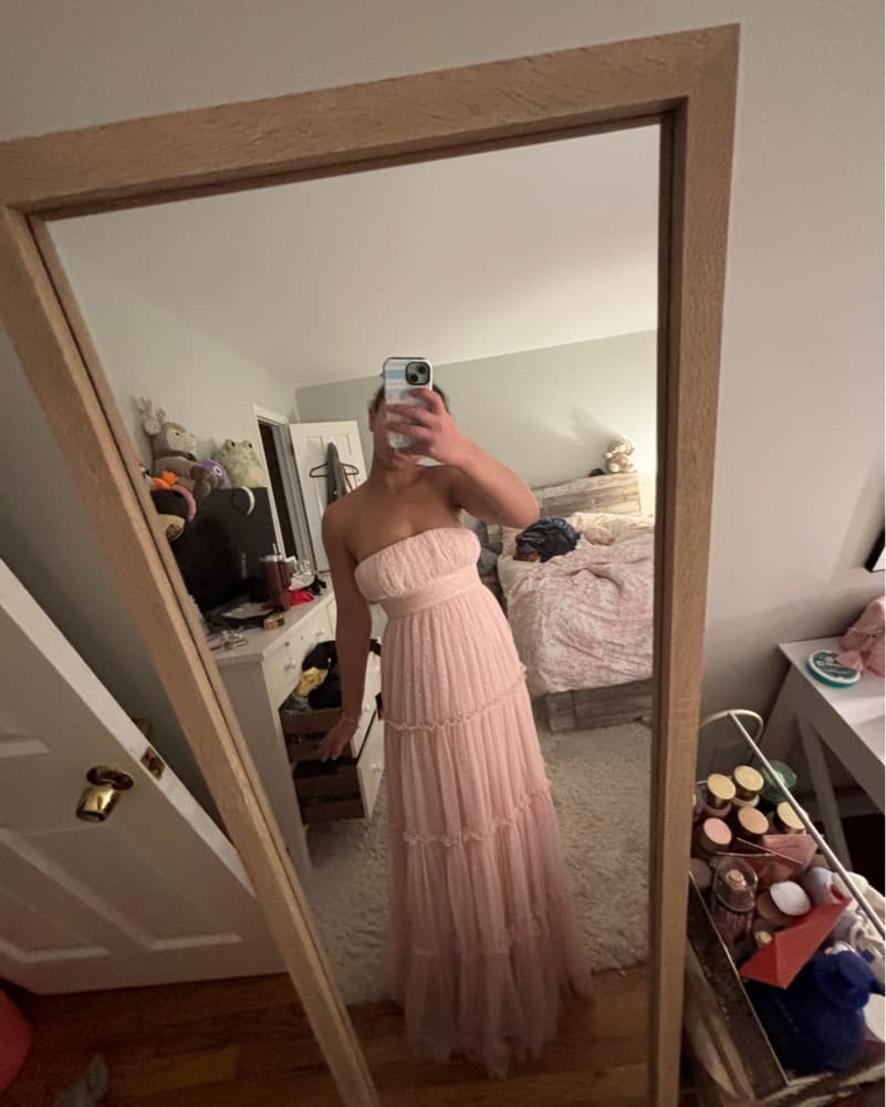 Pink Tool Dress From Lulus - Image 3