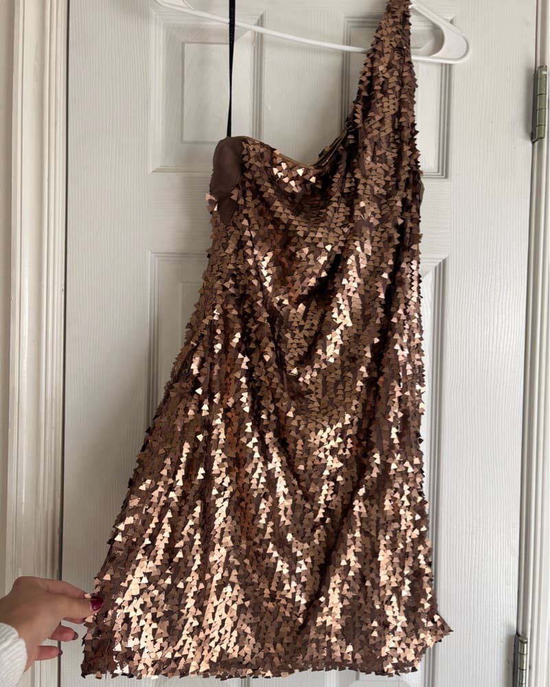 Brown Sequined Alexia Admor dress  - Image 3