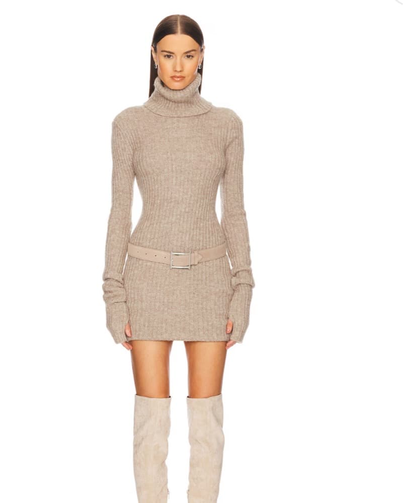 Helsa Knit Turtleneck Sweater Dress - Image 1