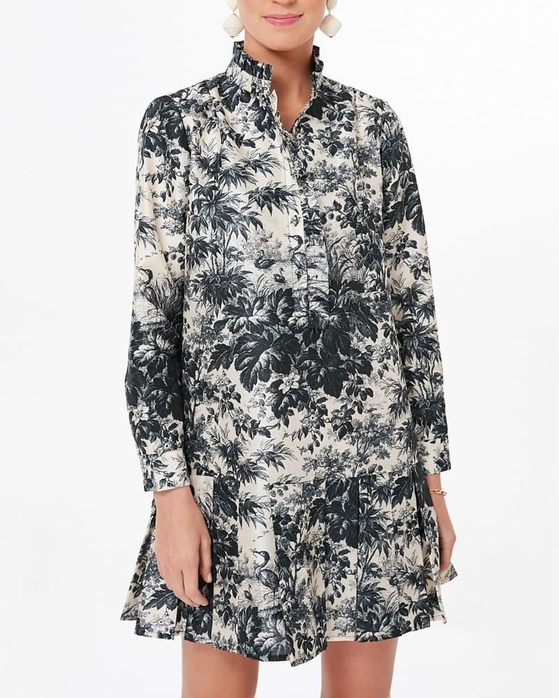 Tuckernuck Toile dress - Image 1
