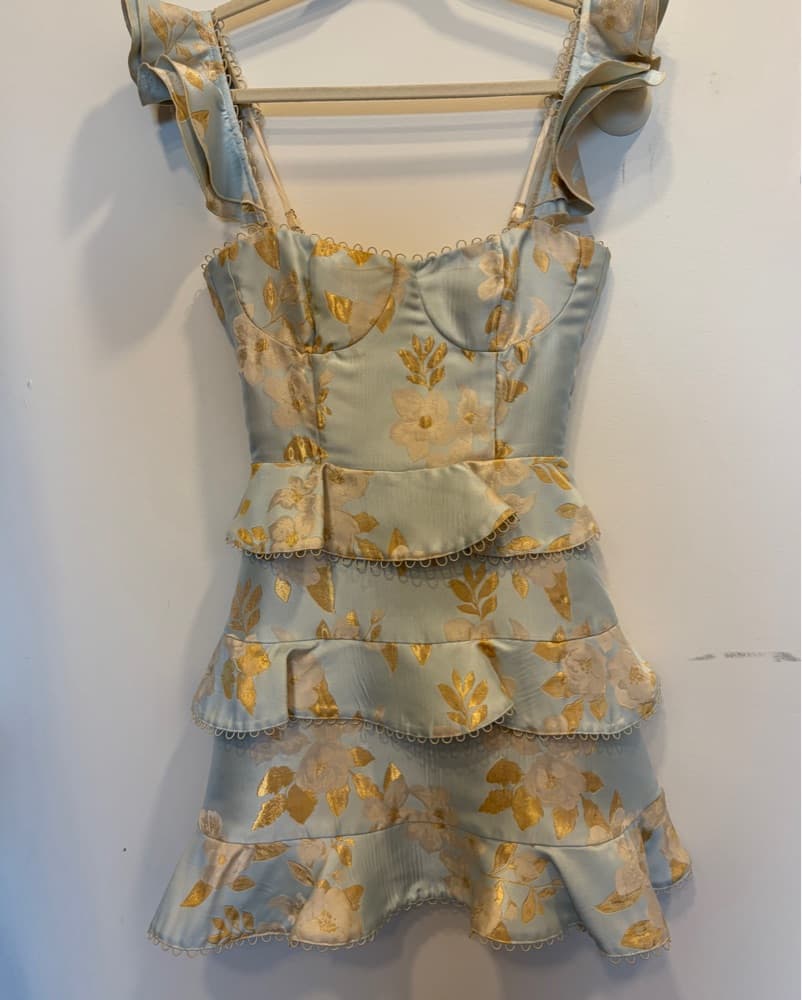 Formal V. Chapman Avignon Dress  - Image 3