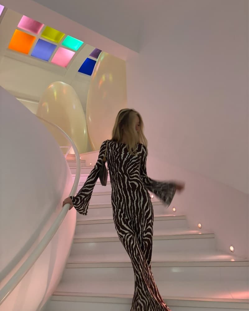 Realisation Par the Gia Zebra Dress  - Image 4