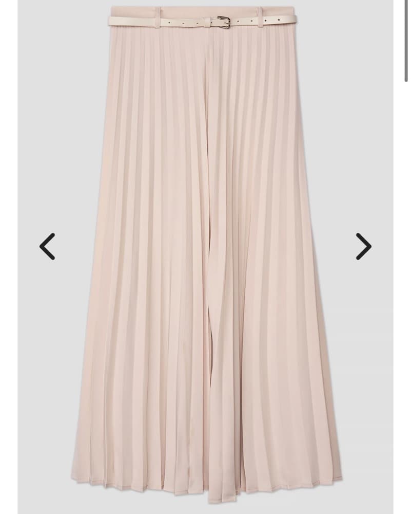 Aliava Pleated Skirt  - Image 2