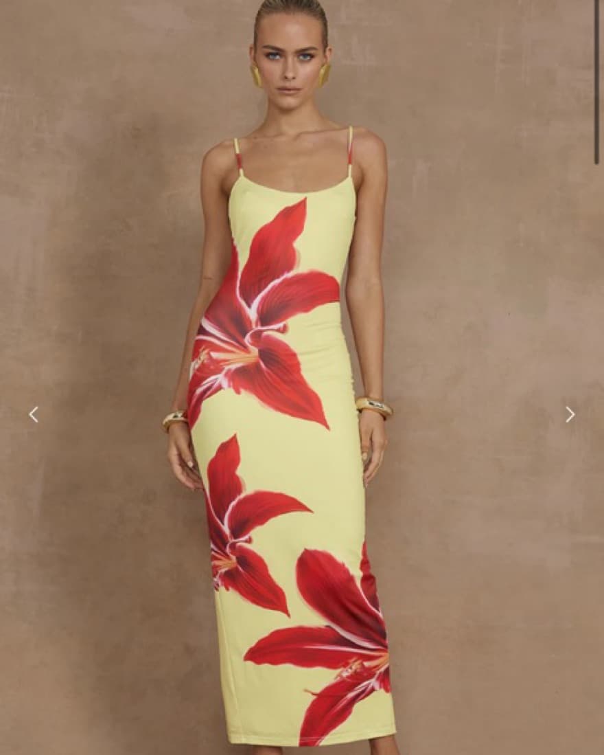 DEIA MIDI DRESS - Image 1