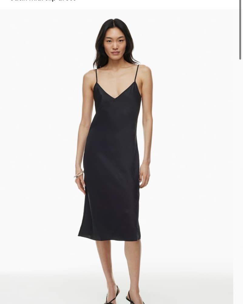 Aritzia Wilfred Slip Satin Midi Dress  - Image 1