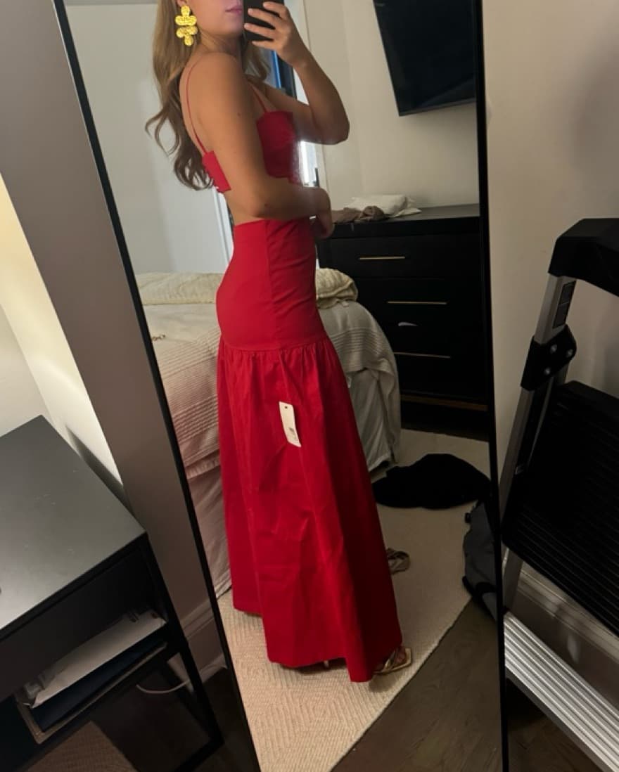 Adriana Degreas Drop Waist Cut Out Dress - Image 4