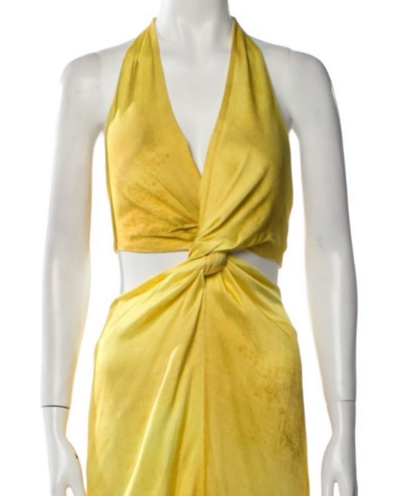 SILVIA TCHERASSI Camila Dress  - Image 5
