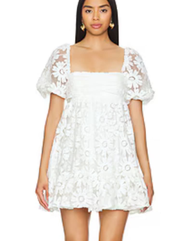 Revolve Posh Dress Likely - Image 1