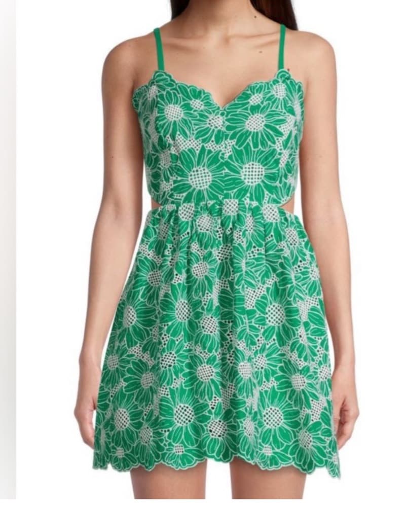 Milly Bea Eyelet Floral Mini Dress - Image 1