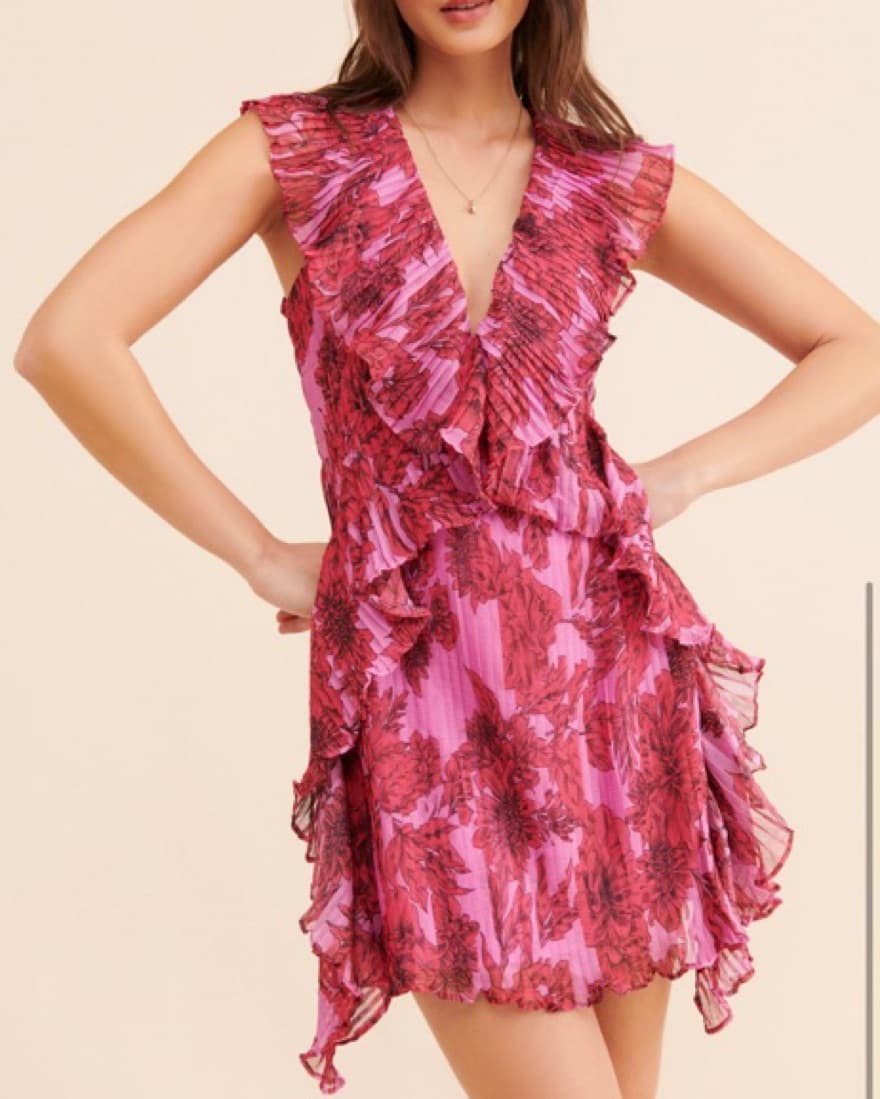 Rose All Day Ruffle Mini Dress - Image 1