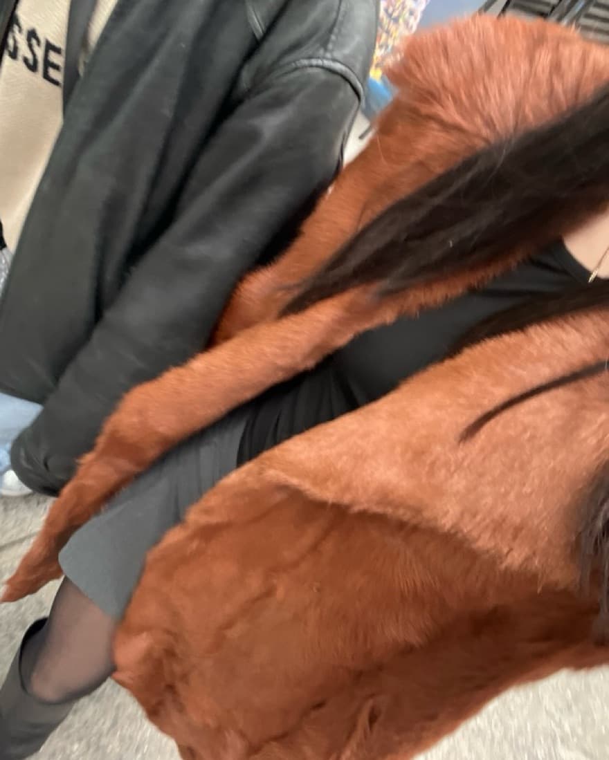 Mink Coat 🐐 - Image 3