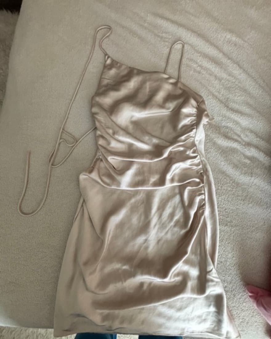 Champagne Silk Dress - Image 2