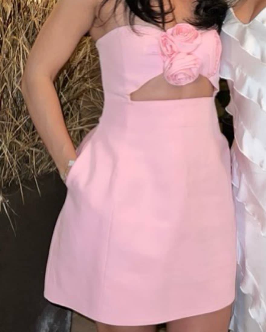 Magna Budrum Dupe Pink Rose Dress - Image 1