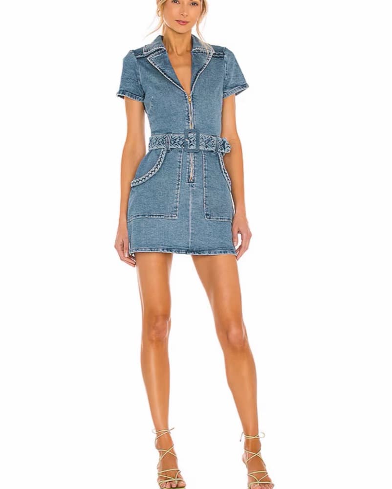 Revolve Show Me Your Mumu Dress - Image 1