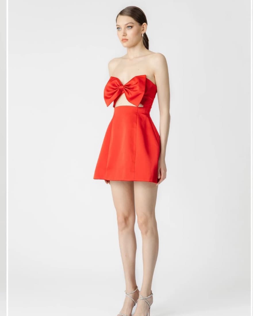 Red Sau Lee Mini Dress - Image 1