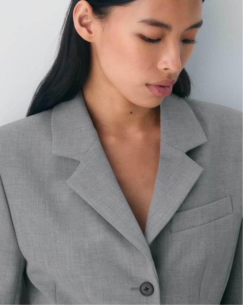 Babaton Aritzia Standout Blazer - Image 3